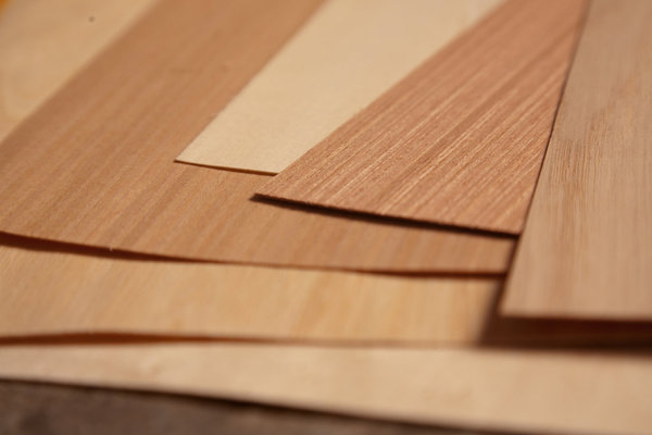 paper-wood-veneer-pdf-woodworking