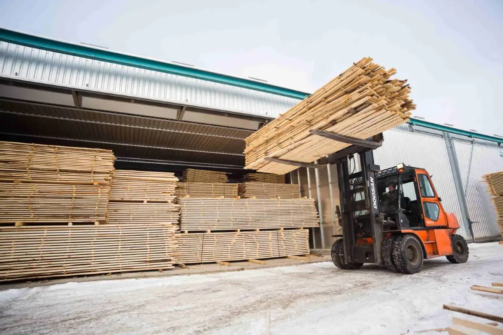 Productia de lemn industrial in UE - primul trimestru 2025