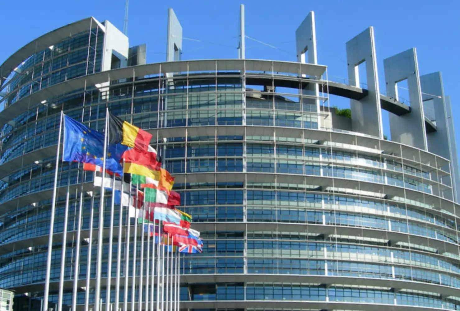 Parlamentul European amana pentru 2026 legea privind lanturile de aprovizionare fara defrisare