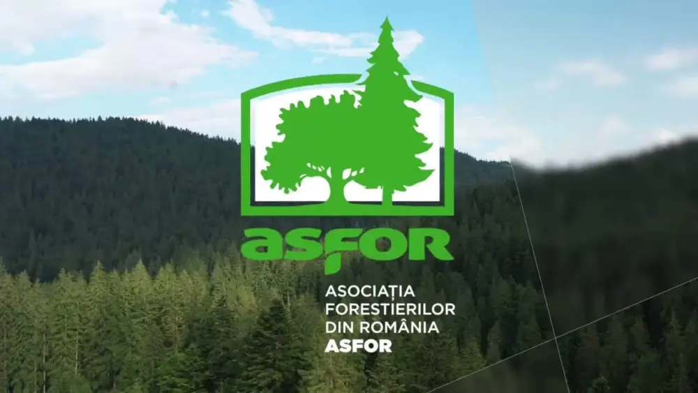 ASFOR propune 25% lemn in cladirile publice noi: impact pentru industria lemnului