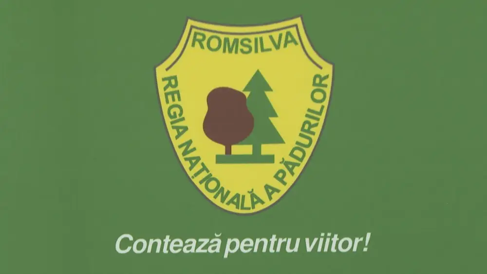Reorganizarea Romsilva: Directii Strategice si Implicatii pentru Industria Lemnului. Declaratiile Dianei Buzoianu