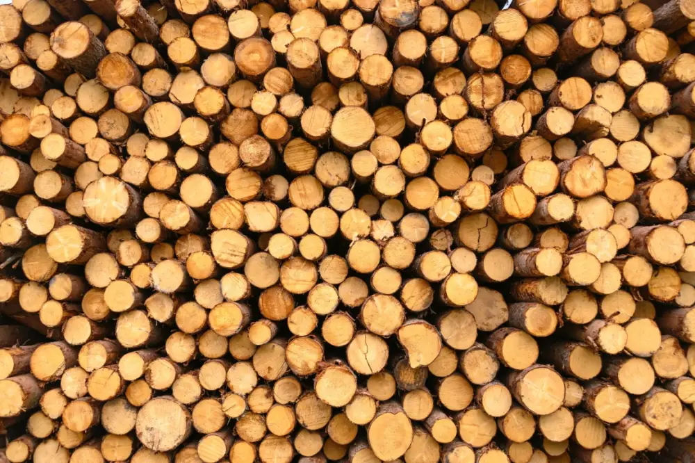 Exporturile UE de cherestea de rasinoase spre Orientul Mijlociu si Africa de Nord au scazut cu 13,8%